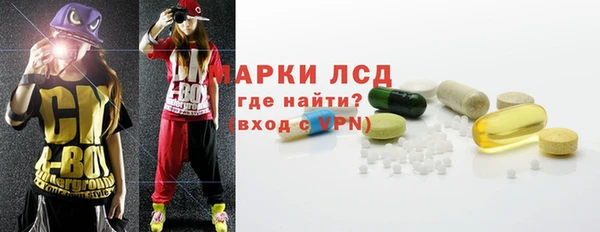 apvp Алзамай