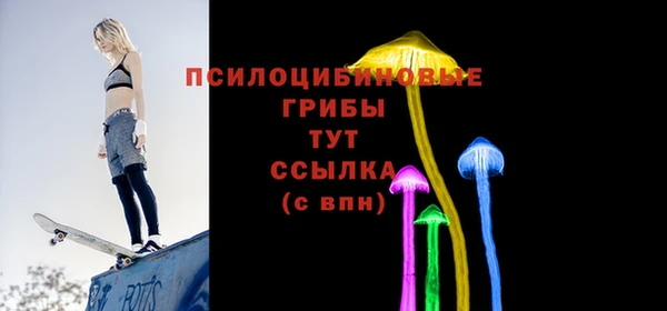 гашик Алексеевка