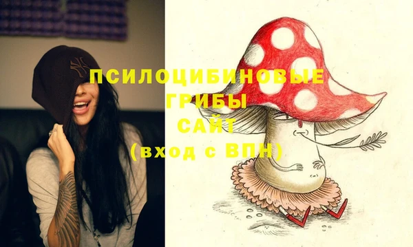 PSILOCYBIN Алексин