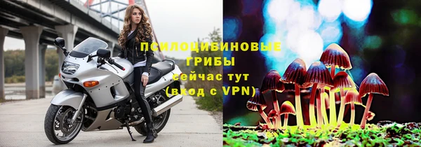 PSILOCYBIN Алексин