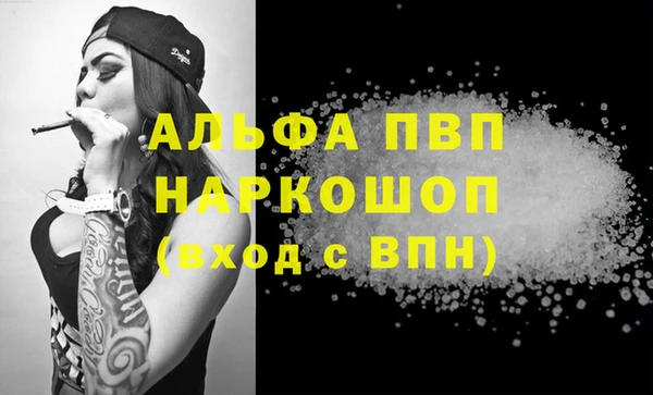 гашик Алексеевка