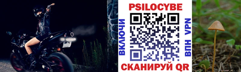 blacksprut онион  наркотики  Приозерск  Галлюциногенные грибы Psilocybe 